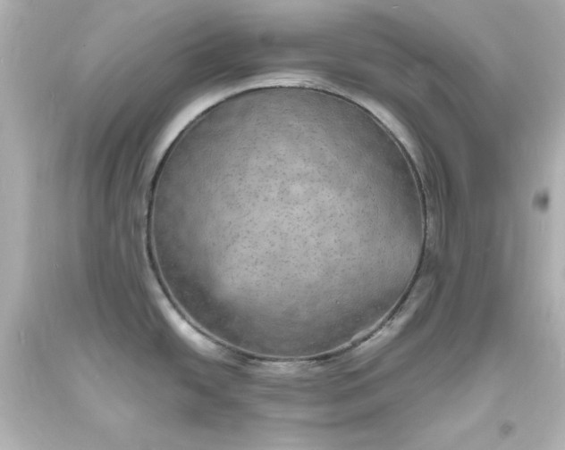 X0000094061438200711021435