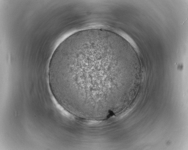 X0000094061439200711021435