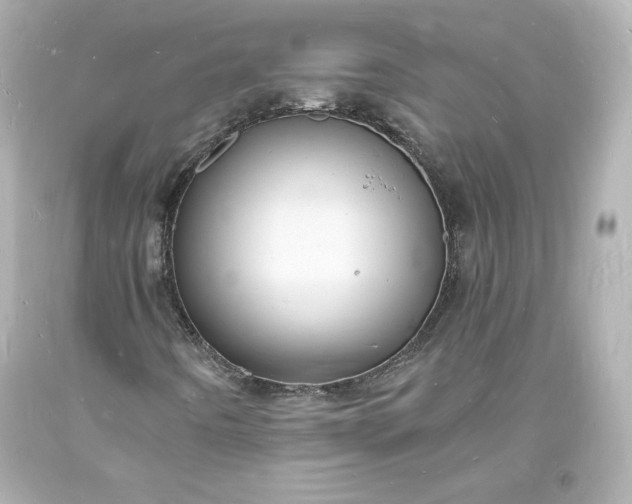 X0000094061442200711021434