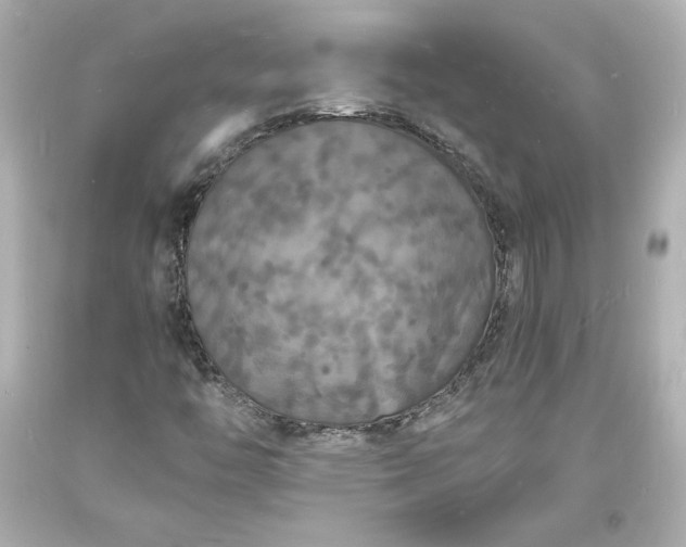 X0000094061446200711021434