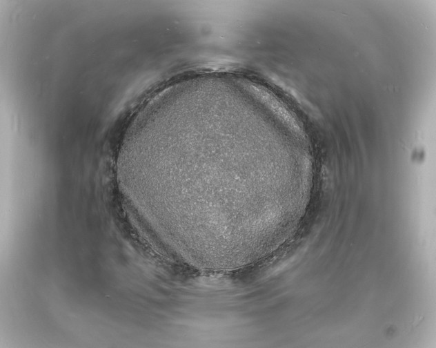 X0000094061447200711021434