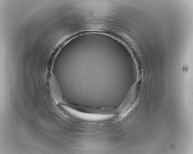 X0000094061449200711021434