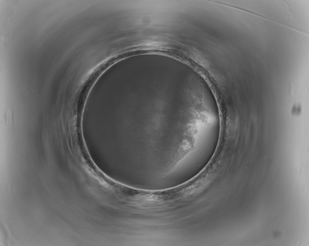 X0000094061450200711021434