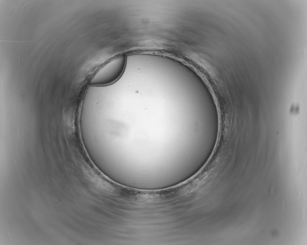 X0000094061451200711021434