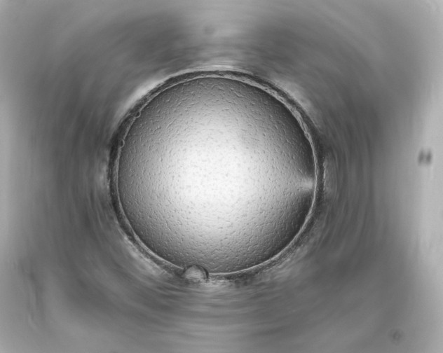 X0000094061452200711021434
