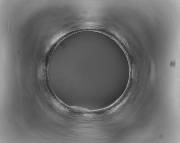 X0000094061453200711021434