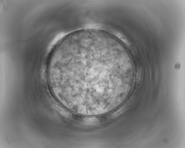 X0000094061454200711021434