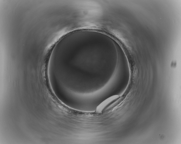 X0000094061455200711021434