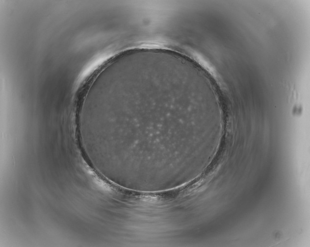 X0000094061456200711021434