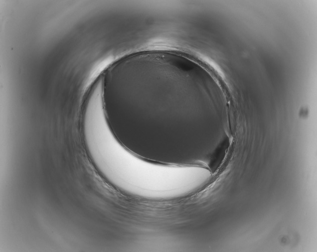 X0000094061461200711021434