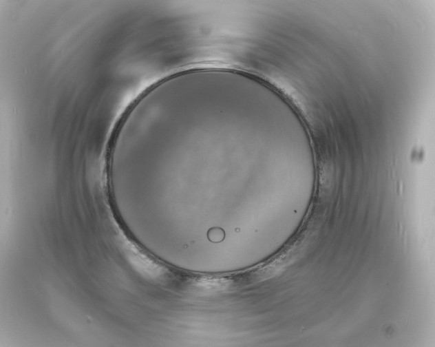 X0000094061466200711021433