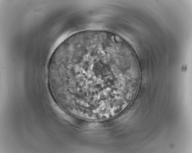 X0000094061467200711021433