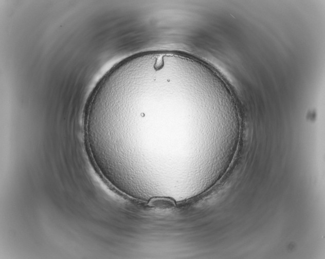 X0000094061468200711021433