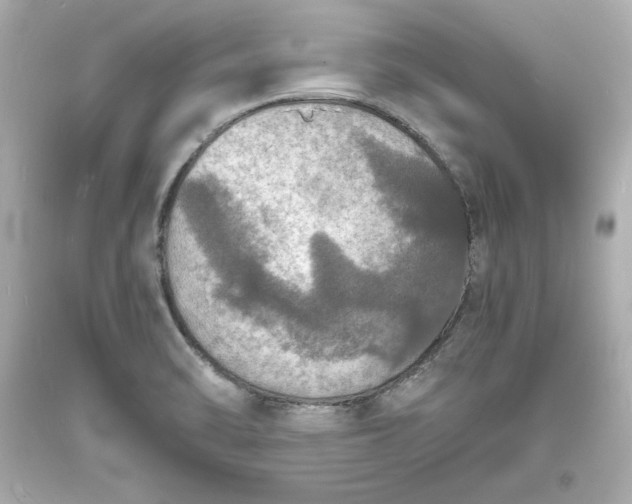 X0000094061470200711021433