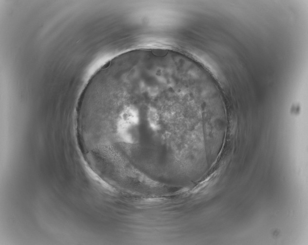 X0000094061471200711021433