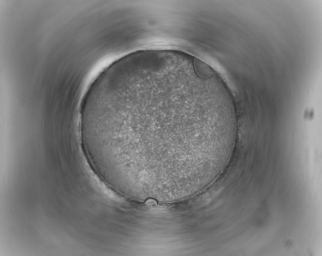 X0000094061472200711021433