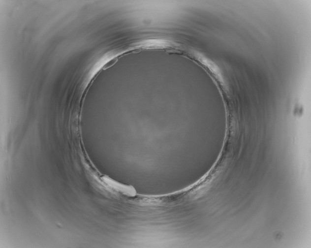 X0000094061473200711021433