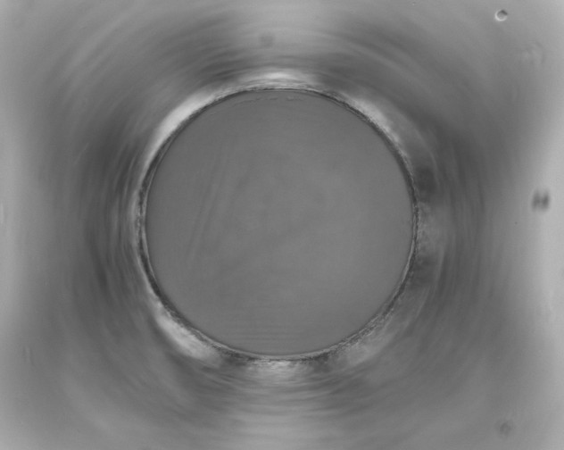 X0000094061474200711021433