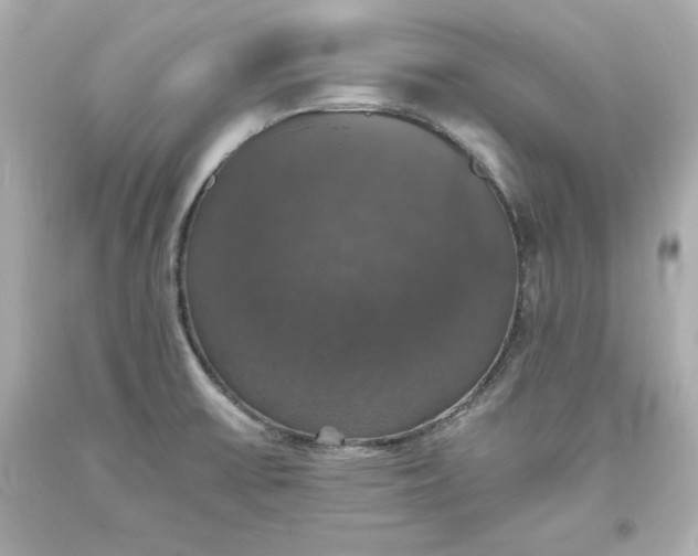X0000094061475200711021433