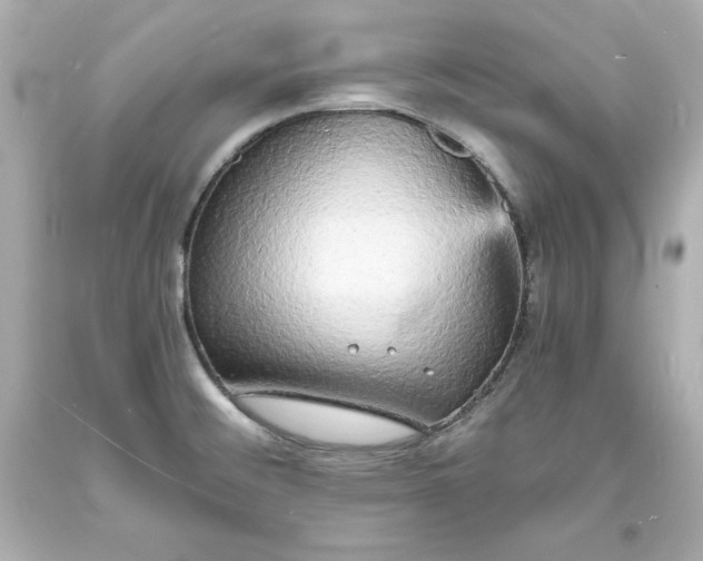 X0000094061476200711021433