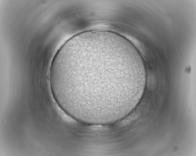 X0000094061478200711021433
