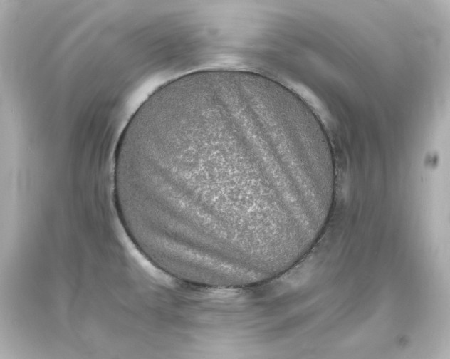 X0000094061479200711021433
