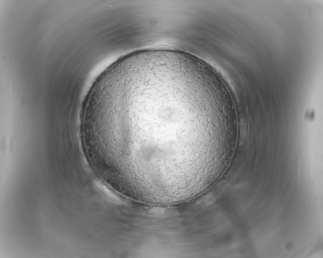 X0000094061480200711021433