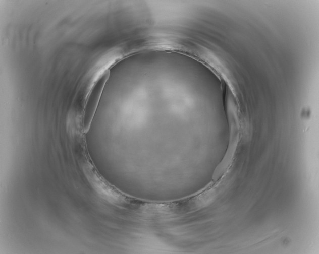X0000094061481200711021433