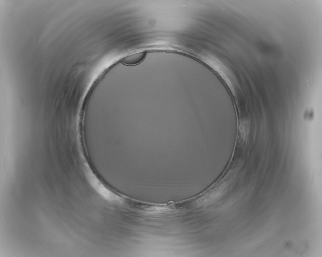 X0000094061482200711021433
