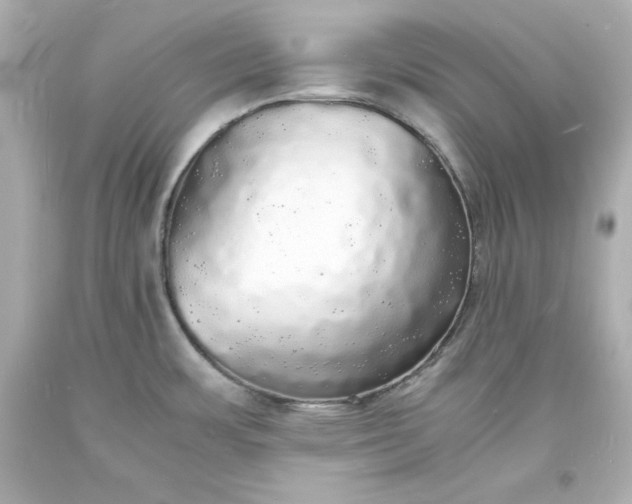 X0000094061483200711021433