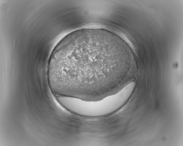 X0000094061484200711021433