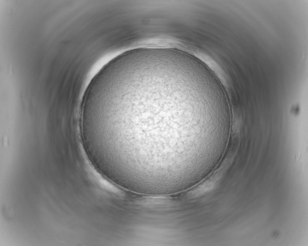 X0000094061486200711021433