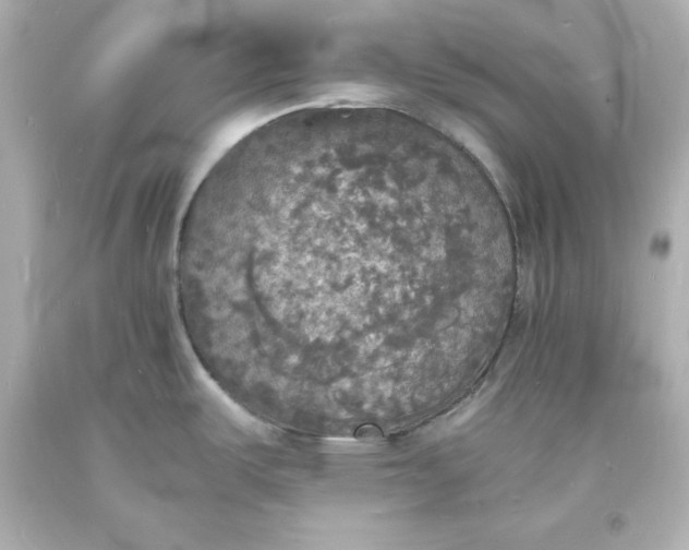 X0000094061487200711021433