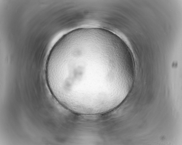 X0000094061488200711021433