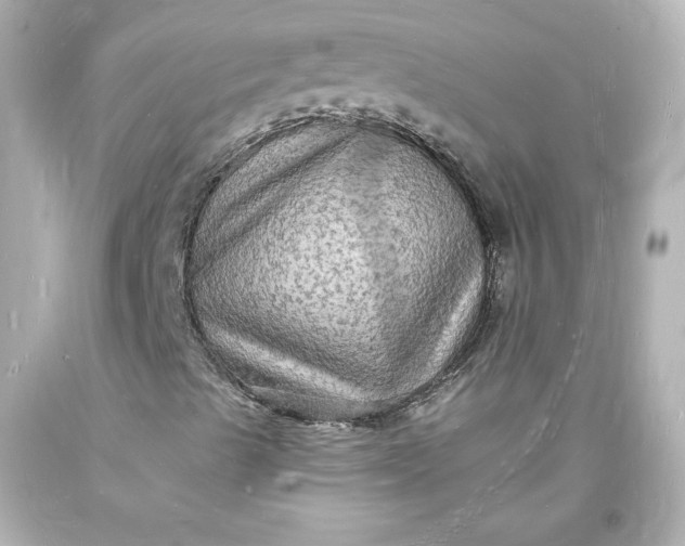 X0000094061489200711021432
