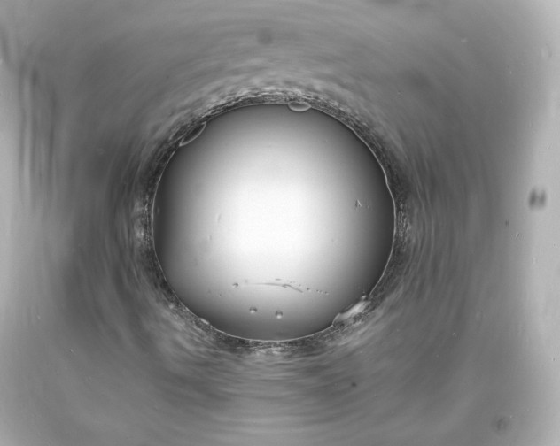 X0000094061490200711021432
