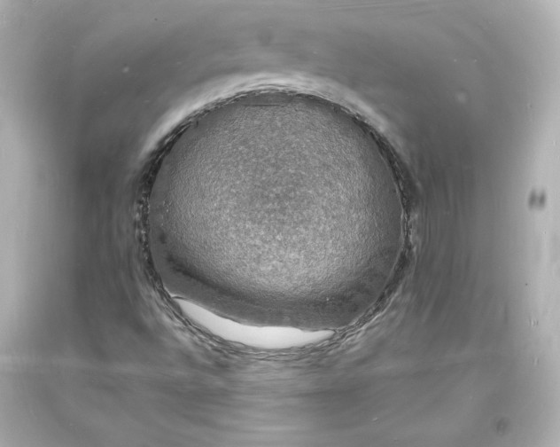X0000094061496200711021432