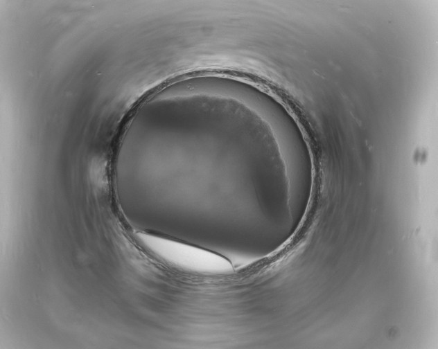 X0000094061497200711021432