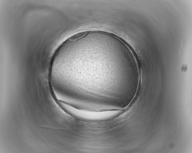 X0000094061500200711021432