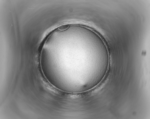 X0000094061501200711021432