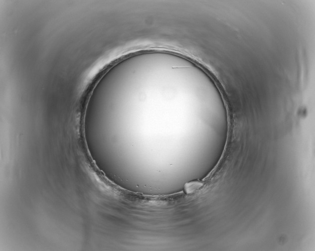 X0000094061503200711021433