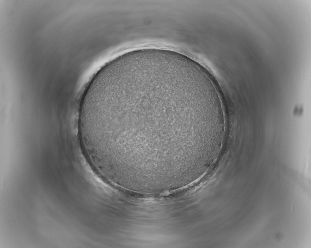 X0000094061504200711021433