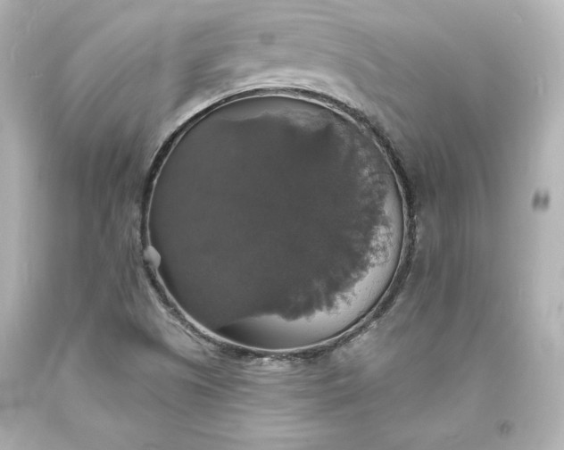 X0000094061505200711021433