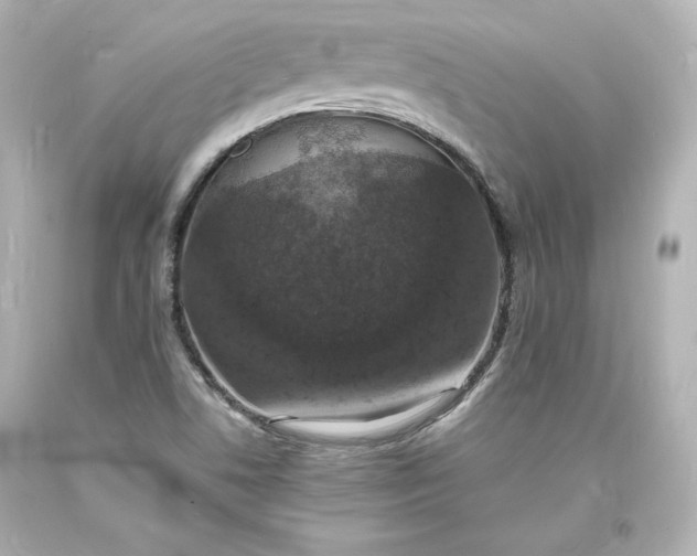 X0000094061506200711021433