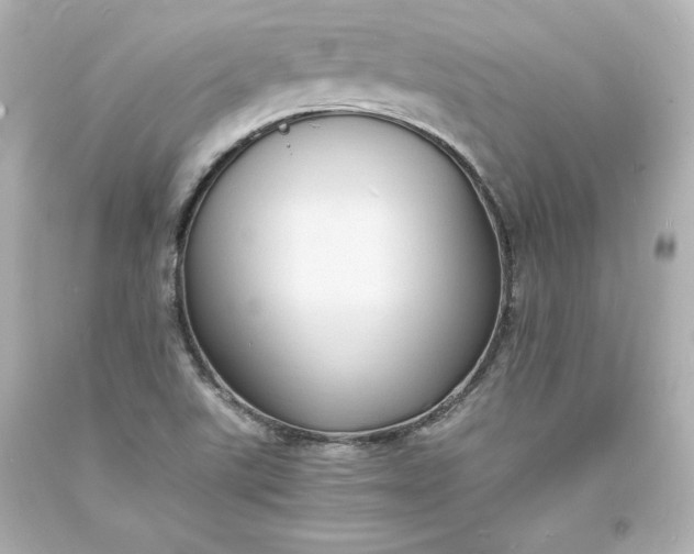 X0000094061507200711021433
