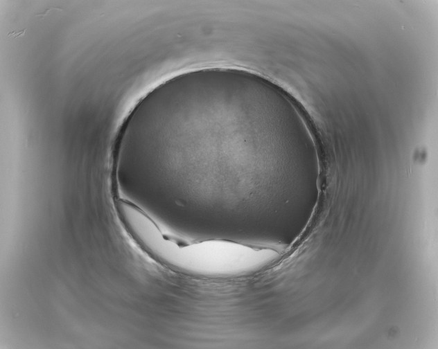 X0000094061508200711021433