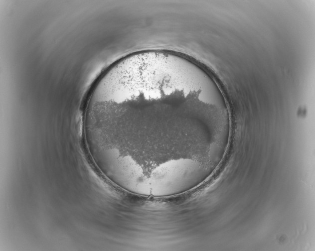 X0000094061509200711021433