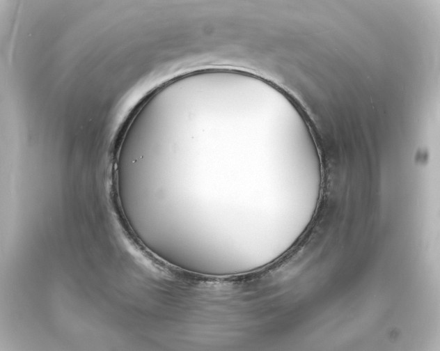X0000094061511200711021433