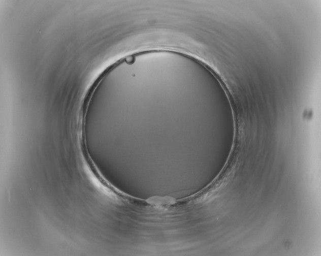 X0000094061515200711021433