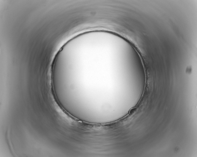 X0000094061516200711021433